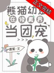 熊猫幼崽在修真界当团宠小说封面