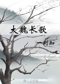 大魏長歌小说封面