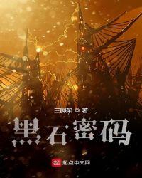 黑石密码资本三部曲
