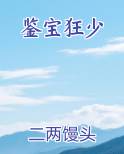 鉴宝狂少原著小说