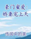 小说 豪门娇妻